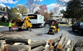 Best Tree Health Inspection  in Gaithersburg, MD
